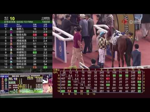 駿馬名駒 (N376) 韋達 27/10/2013