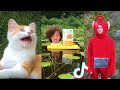 Tik Toks with Funny Vibes von P