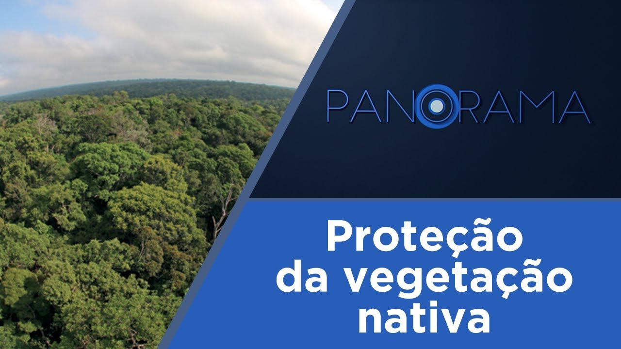 Panorama | Novo Código Florestal | 21/03/2018