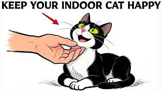 6 Ways To Keep Your Indoor Cat Happy