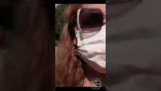 Download lagu Reportera de Chiapas Revela el Pésimo Trato a Mujeres en Hospitales en Documental #Shorts mp3 Download lagu Reportera de Chiapas Revela el Pésimo Trato a Mujeres en Hospitales en Documental #Shorts mp3