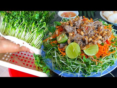 Nộm bò rau mầm