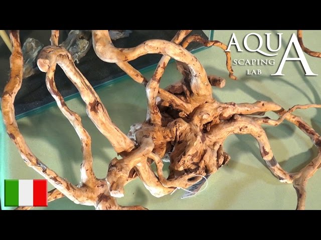 Aquascaping Lab - Legni e Radici per Acquario, trattamento Jati, Mopani, Java, Driftwood