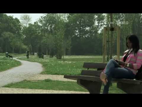 A tömegmészárlások túlélői