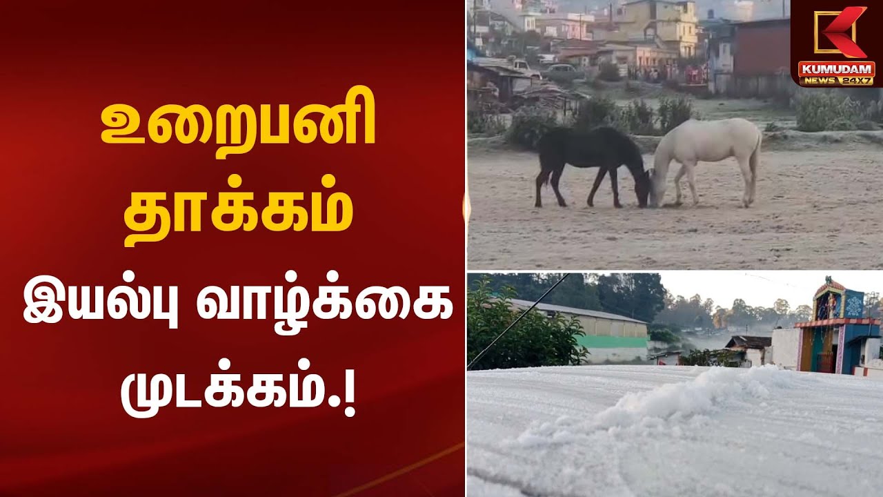 Freezing Cold | உறைபனி தாக்கம் – இயல்பு வாழ்க்கை முடக்கம் | Kumudam News