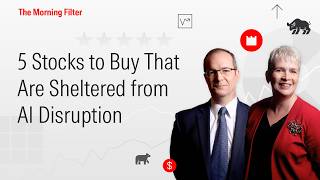 5 Stocks to Buy That Are Sheltered from AI Disruption I March 16, 2026