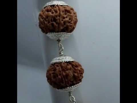 Sampoorna Siddhi Rudraksha Mala