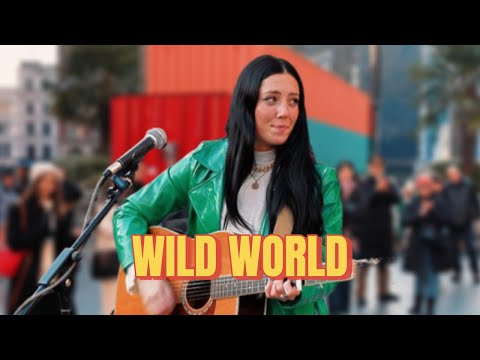 This Girl’s Voice Will Leave You SHOCKED – You Have to Hear It! | Cat Stevens - Wild World