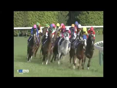 2016.05.15 Victoria Mile (JPN) - Straight Girl