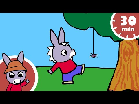 😱 Trotro a peur des araignées ! 🕷