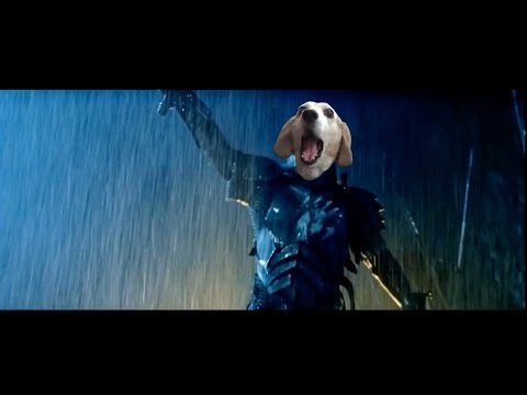 Bacon Donut RuRuKai OhMyDog