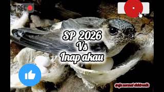 Download lagu Suara Burung Walet ‼️ Sp 2026 Vs Inap Akau mp3