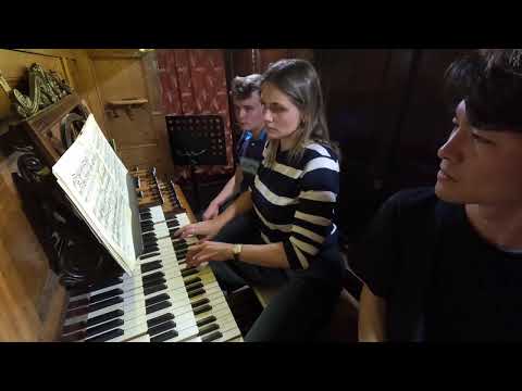 César Franck: 2nd Choral - Flavia-Maria Fresen at the Cavaillé-Coll organ of St. Sernin, Toulouse