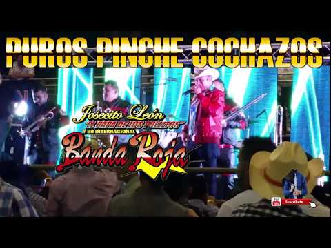 BANDA ROJA PUROS COCHAZOS