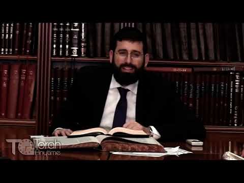 Sefer Yona: Chapter 4 - The Malbim Explicates Why Yona Wanted To Die