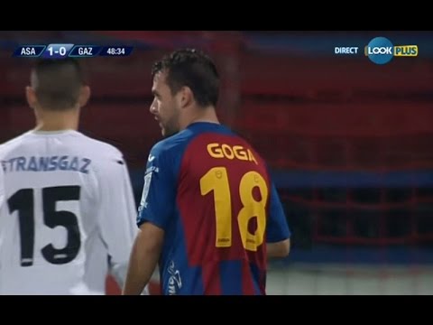 Goga suteaza putin pe langa poarta