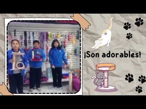 RASCADOR DE GATOS ECOLOGICO