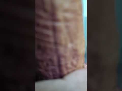 อย่าหาทำ 555+ #Shorts #Shortsup