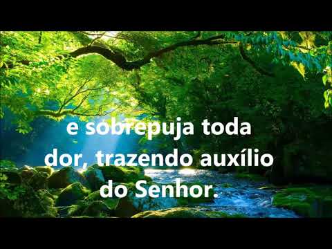 Bendita hora de oração