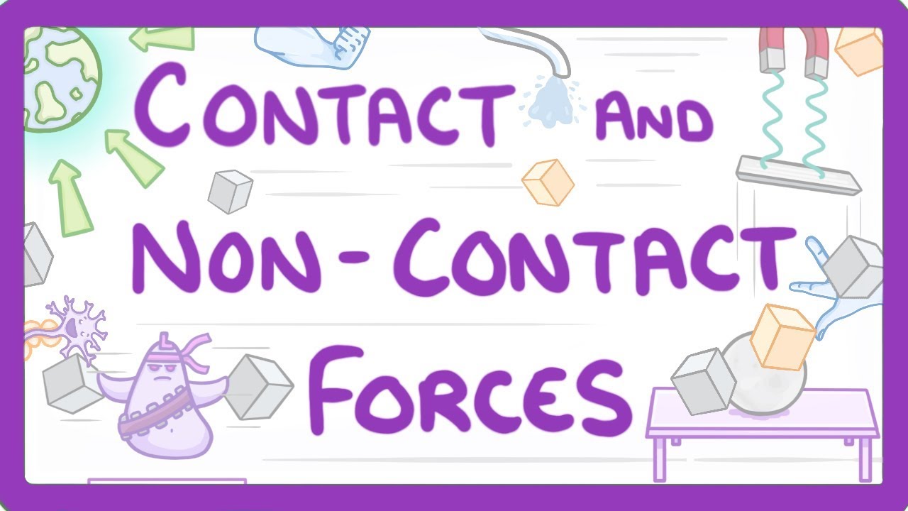 What are two contact forces examples?