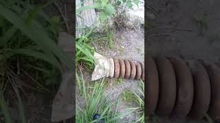 HEAVY EQUIPMENT JUNK YARD (florida)