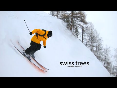 Candide Thovex - Swiss trees