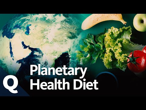 Planetary Health Diet: How we can save the climate with our diet | Quarks