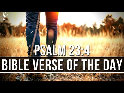 Bible Verse For Today Psalm 23:4 | Bible Verse Of The Day And Explanation