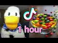 1 Hour Donald Ducc Tiktok Compilation Best Donald Ducc Tiktok Donald Duck Tiktok
