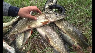 Вышивка все о рыбалке на щуку