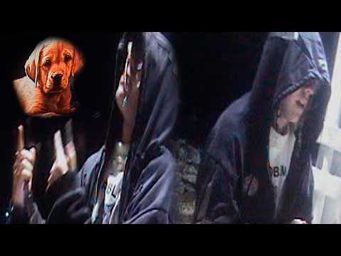 Rojuu - K TIENE K NO TENGA YO (Video Oficial)