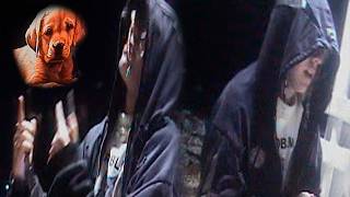 Cover art for K TIENE K NO TENGA YO