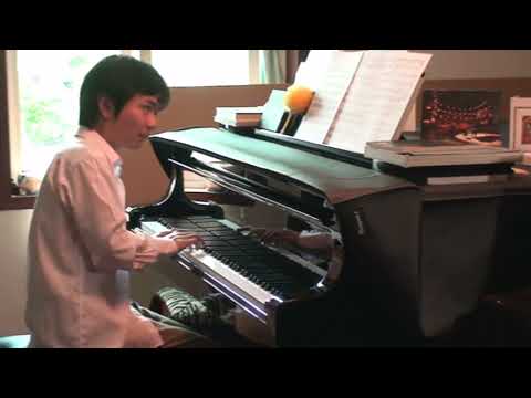 Wenyu Shen plays Wang Lisan Arr. Blue Flower