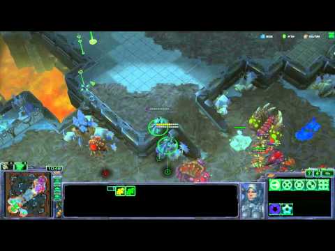 SC2 Terran VS ZERG FPVOD Master League