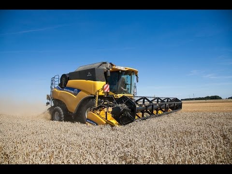 Moisson 2013 New Holland CR8070 - wheat harvest