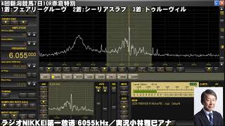 【ラジオNIKKEI】2021年9月4日4回新潟競馬7日9R－11R【競馬ラジオ】