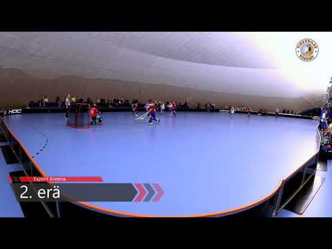 3.2.2019 Rangers Hawks vs. Tikkurilan Tiikerit Sininen