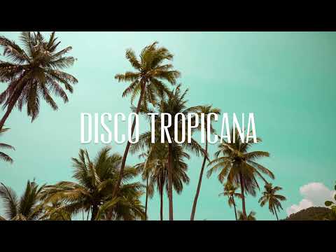 Nothing but Funk - Got Me Feeling (Extended Mix) [Disco Tropicana Records 2024]