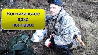 Ссылка