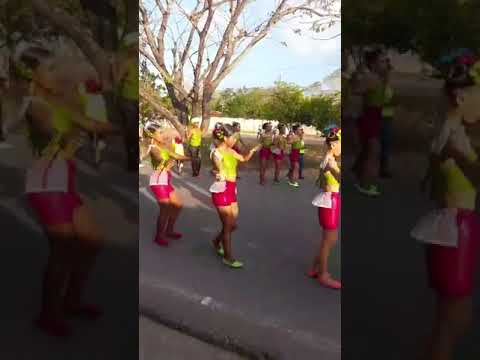 Baile grupos folcloricos en carnavales  de Manatí Atlántico 10 febrero 2024