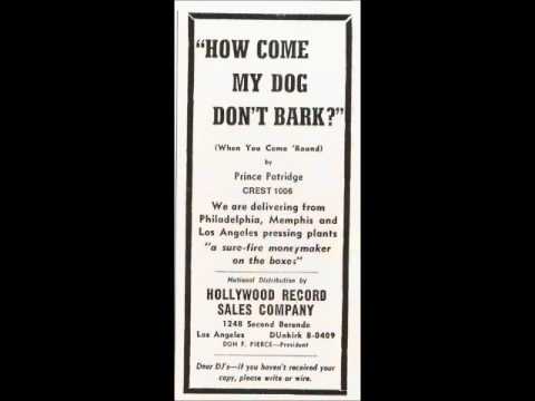How Come My Dog Don't Bark (When You Come 'Round) - Prince Patridge