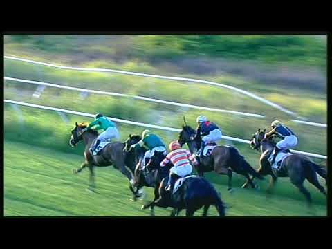 Galoppo 29/08/2020 - 2ª corsa