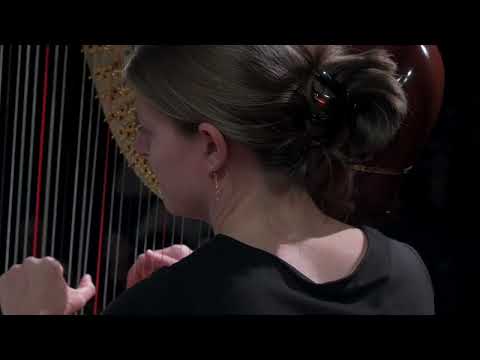 Helldivers II: A Cup of Liber Tea - DSM Gamer Symphony