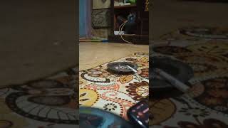 Download lagu Cover Lagu Cipt. Rudi Halamsyah By SEPUTAR MUSIK voc Aditya mp3 Download lagu Cover Lagu Cipt. Rudi Halamsyah By SEPUTAR MUSIK voc Aditya mp3