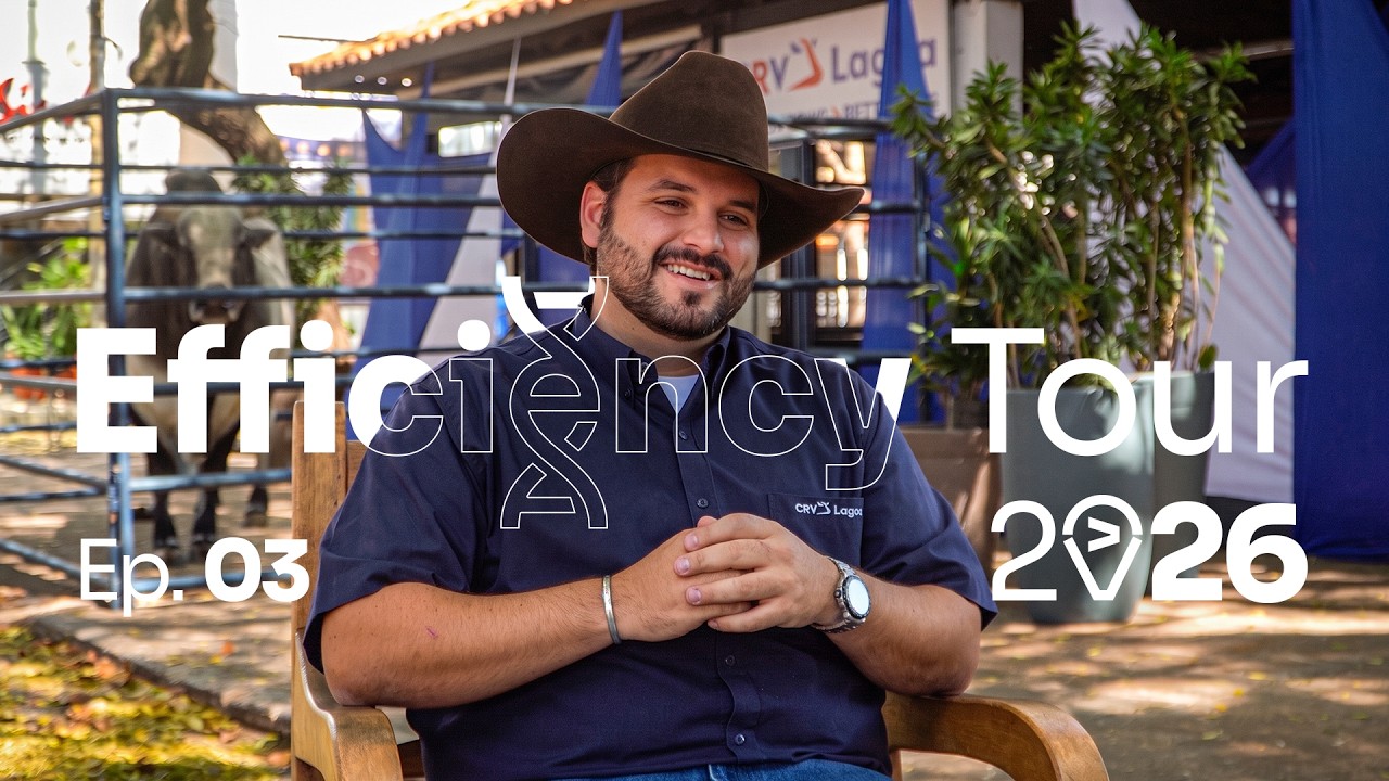 EFFICIENCY TOUR 2026 | Conheça a genética por trás da eficiência dos touros da CRV!