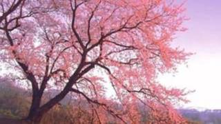 SOFIA (Fiorella Mannoia)