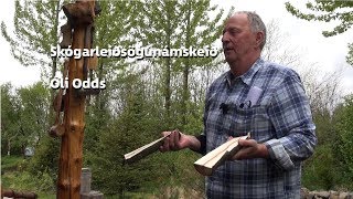 Skógarleiðsögunámskeið í Ólaskógi