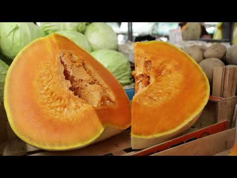 Ceger ep. 430 05.11.2020.