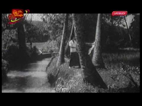 "Dedunen Enna" - Sanath Nandasiri and Latha Walpola (Wasanthaya Dawasak, 1979)
