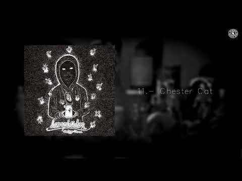 11. Chester Cat - Santiago Insane (Lampíridos) con letras